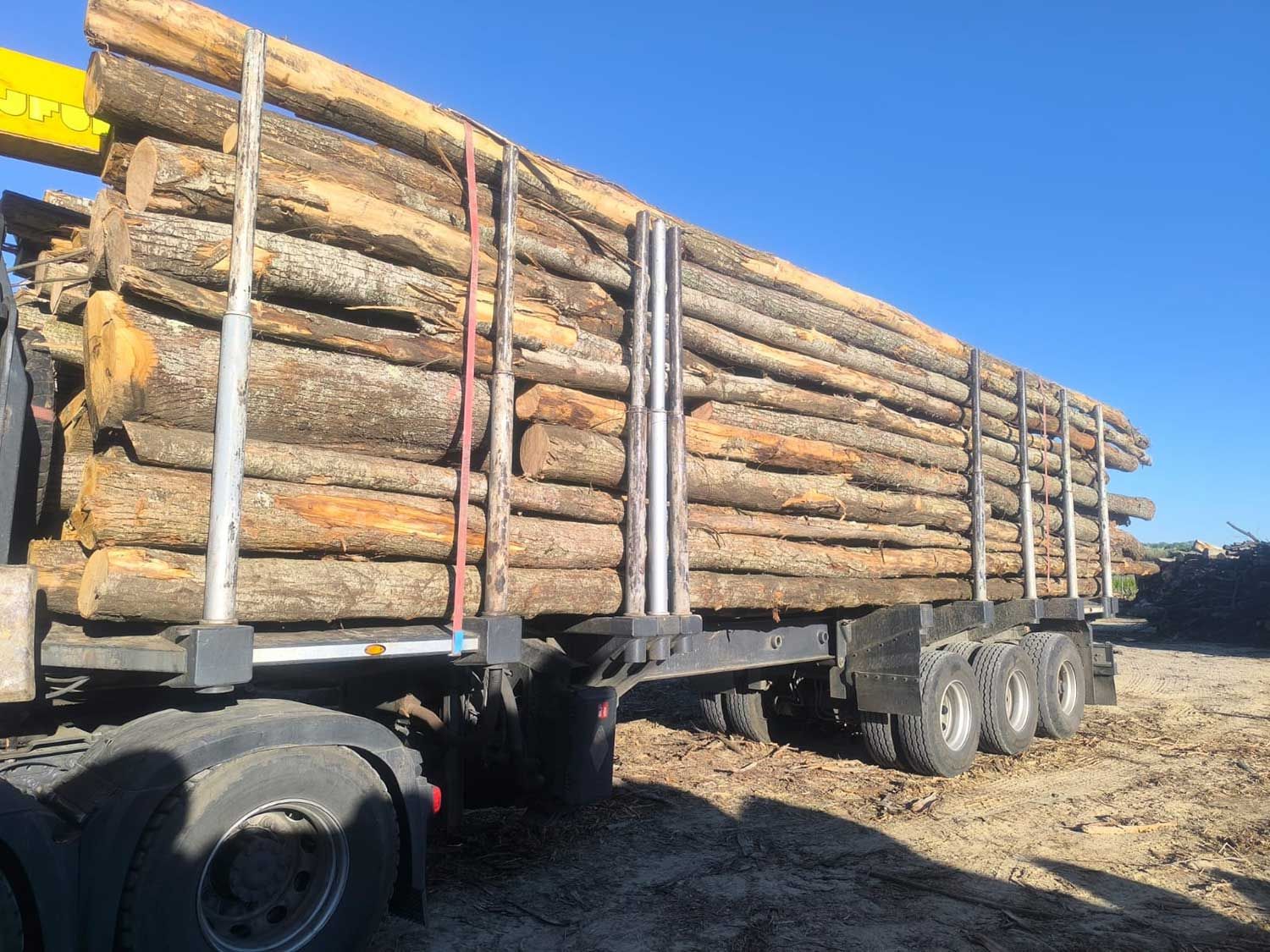 Chargement de bois d'œuvre