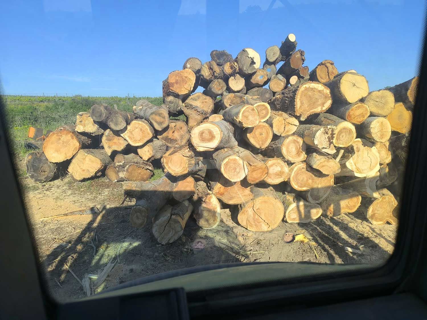 Estimation de grumes sur pied