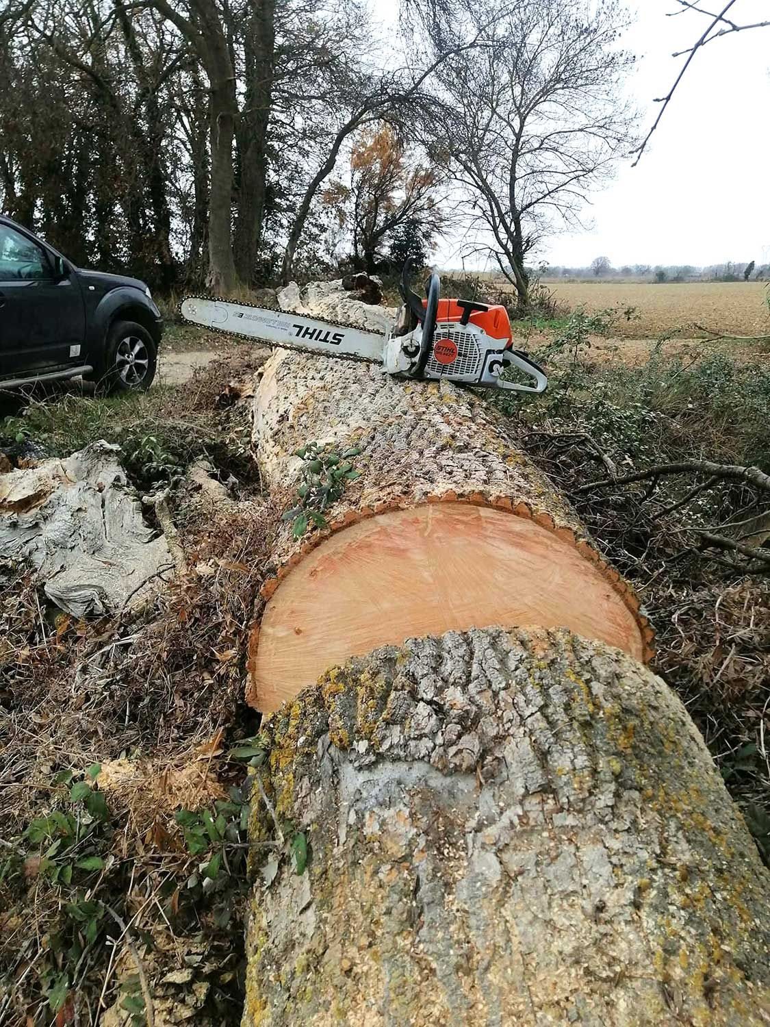 Transport du bois avant valorisation