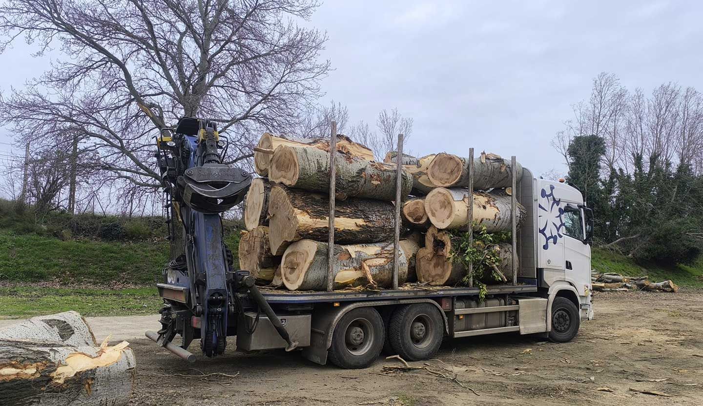 Chargement des bois sur le camion de livraison