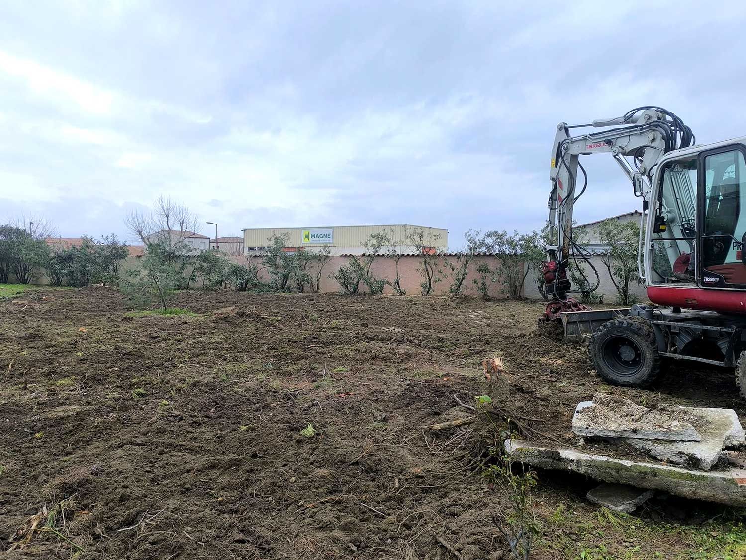 Terrain après débroussaillage