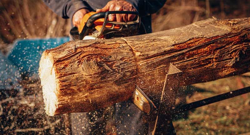 un forestier découpe du bois à la tronçonneuse