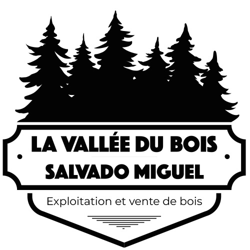 Logo La Vallée du Bois